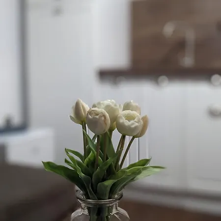 Honey I'm Appartement *